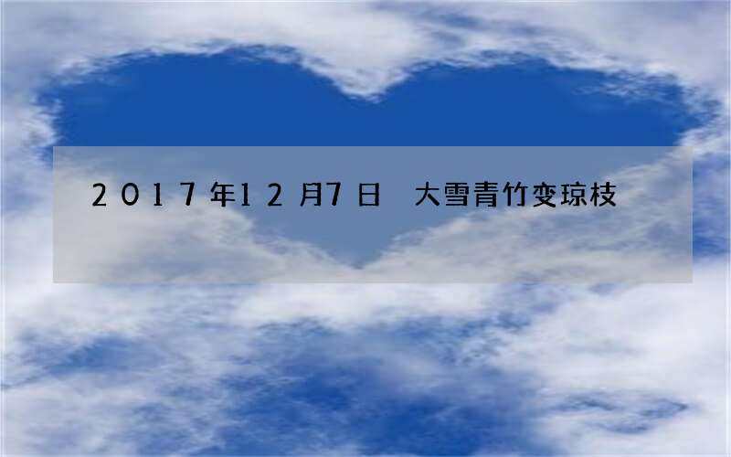 2017年12月7日 大雪青竹变琼枝